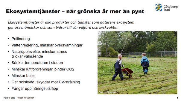 ekosystemtjenestar